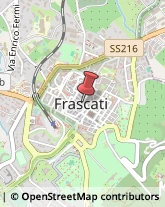 Assicurazioni Frascati,00044Roma