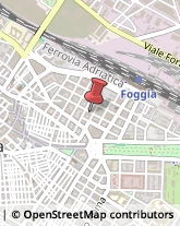 Pratiche Nautiche - Agenzie Foggia,71121Foggia