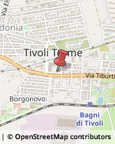 Rosticcerie e Salumerie Tivoli,00011Roma