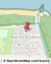 Agenzie Immobiliari Lesina,71010Foggia