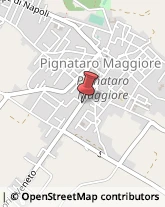 Alimenti Surgelati - Dettaglio Pignataro Maggiore,81052Caserta