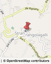 Avvocati Strangolagalli,03100Frosinone