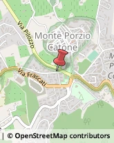 Internet - Hosting e Grafica Web Monte Porzio Catone,00040Roma