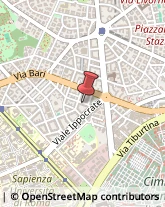 Stuoie, Passatoie e Zerbini,00161Roma