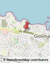 Alimenti Surgelati - Dettaglio Giovinazzo,70054Bari