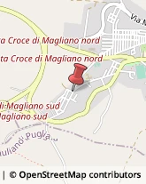 Bestiame - Allevamento e Commercio Santa Croce di Magliano,86047Campobasso