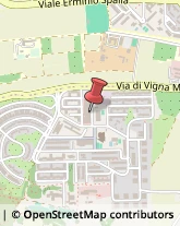 Carte da Gioco,00143Roma