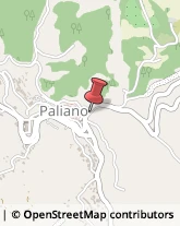 Arredamento - Vendita al Dettaglio Paliano,03018Frosinone