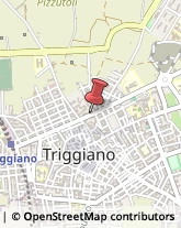 Agenzie Immobiliari Triggiano,70019Bari