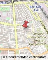 Scuole Pubbliche,70125Bari