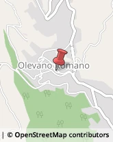 Tour Operator e Agenzia di Viaggi Olevano Romano,00035Roma