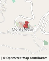 Farmacie Monteroduni,86075Isernia
