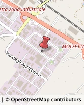 Etichette Molfetta,70056Bari