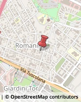 Consulenza Informatica Roma,00173Roma