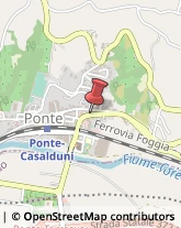 Piante e Fiori - Dettaglio Ponte,82030Benevento