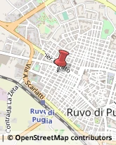 Veterinaria - Ambulatori e Laboratori Ruvo di Puglia,70037Bari