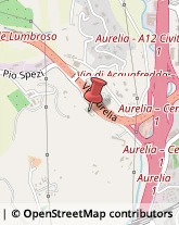 Carrelli Elevatori e Trasporto - Commercio e Noleggio Roma,00166Roma