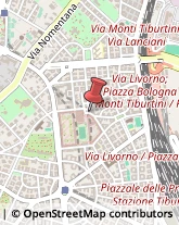 Elaborazione Dati - Servizio Conto Terzi Roma,00162Roma