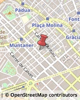 ,08021Nuoro