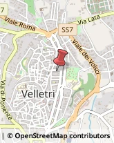 Agrumi Velletri,00049Roma