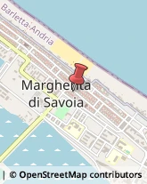 Agenzie Marittime Margherita di Savoia,76016Barletta-Andria-Trani