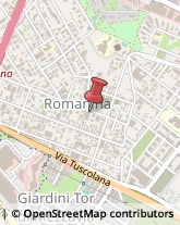 Vetrine e Teche per Negozi - Produzione e Commercio Roma,00173Roma