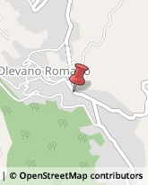 Stazioni di Servizio e Distribuzione Carburanti Olevano Romano,00035Roma