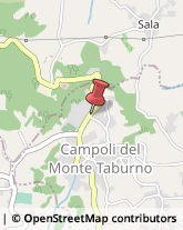 Trading Società Campoli del Monte Taburno,82030Benevento