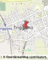 Associazioni Sindacali Triggiano,70019Bari