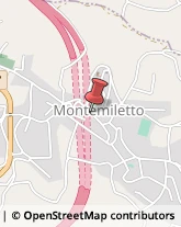 Pelletterie - Dettaglio Montemiletto,83038Avellino