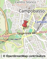 Tour Operator e Agenzia di Viaggi Campobasso,86100Campobasso