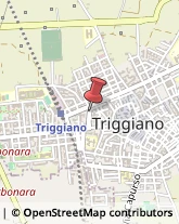 Serrature di Sicurezza Triggiano,70019Bari