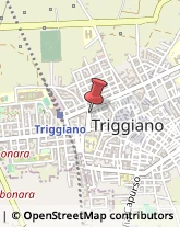 Trasporti Internazionali Triggiano,70019Bari