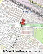 Trasporto Pubblico,71121Foggia