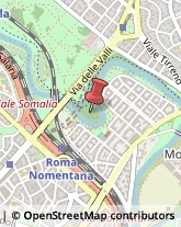 Agenzie di Animazione e Spettacolo Roma,00141Roma