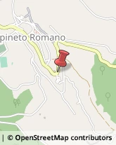Assicurazioni Carpineto Romano,00032Roma