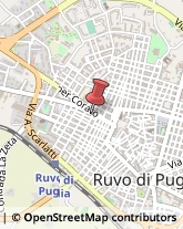 Macellerie Ruvo di Puglia,70037Bari