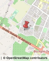 Piazza Vittorio Emanuele, 18,76011Bisceglie
