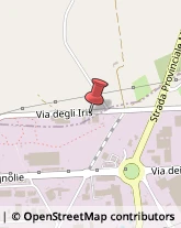 Tetti e Coperture Edili Bari,70132Bari