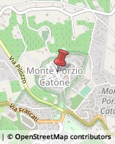 Scuole Pubbliche Monte Porzio Catone,00078Roma