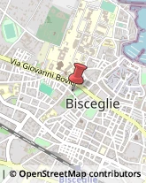 Centri per l'Impiego Bisceglie,76011Barletta-Andria-Trani