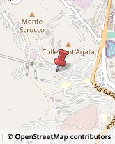 Agenzie Marittime Gaeta,04024Latina