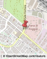 Ingegneri,71121Foggia