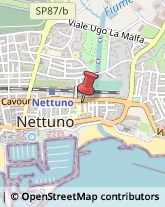 Scuole Pubbliche Nettuno,00048Roma