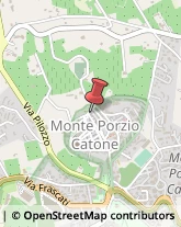 Vendite per Corrispondenza Monte Porzio Catone,00078Roma