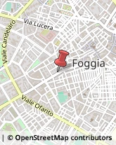 Animali Domestici - Toeletta Foggia,71121Foggia