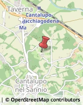 Imprese Edili Cantalupo nel Sannio,86092Isernia