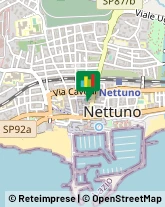 Articoli Sportivi - Dettaglio Nettuno,00048Roma