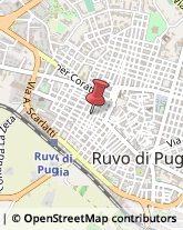 Alimentari Ruvo di Puglia,70037Bari