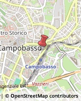 Consulenza Agricoltura e Foresta Campobasso,86100Campobasso